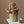 Load image into Gallery viewer, Potted Faux Cactus and Succulent Flower Arrangement - Staunton and Henry