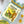 Load image into Gallery viewer, Jungle Safari Coffee Mug - Staunton and Henry