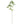 Load image into Gallery viewer, Artificial Leaf - Pieris - Staunton and Henry