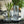 Load image into Gallery viewer, Modern Ribbed Glass Vase - Staunton and Henry