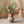 Load image into Gallery viewer, Artificial Pomegranate Fruit Plant - Staunton and Henry
