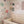 Load image into Gallery viewer, Botanicals Floral Wall Mural - Staunton and Henry