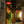 Load image into Gallery viewer, Chinese Lantern Pendant Light - Staunton and Henry