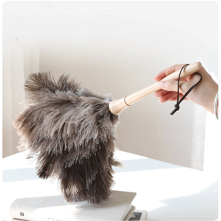 Ostrich Feather Duster — Sunday Shop