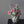 Load image into Gallery viewer, Potted Faux Cactus and Succulent Flower Arrangement - Staunton and Henry