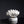 Load image into Gallery viewer, Faux White Coral Ornament - Staunton and Henry