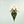 Load image into Gallery viewer, Zoe Flower Wall Light - Staunton and Henry