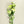 Load image into Gallery viewer, White Lisianthus Silk Flowers - Set of 3 Stems - Staunton and Henry
