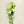 Load image into Gallery viewer, White Lisianthus Silk Flowers - Set of 3 Stems - Staunton and Henry