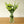 Load image into Gallery viewer, White Lisianthus Silk Flowers - Set of 3 Stems - Staunton and Henry