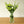 Load image into Gallery viewer, White Lisianthus Silk Flowers - Set of 3 Stems - Staunton and Henry
