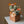 Load image into Gallery viewer, Potted Faux Cactus and Succulent Flower Arrangement - Staunton and Henry