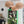 Load image into Gallery viewer, Studio Vayehi Wind Wood Veneer Ceiling Light - Staunton and Henry