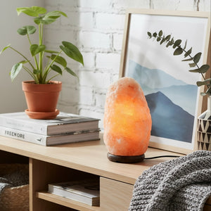 Himalayan Salt Lamp - Staunton and Henry