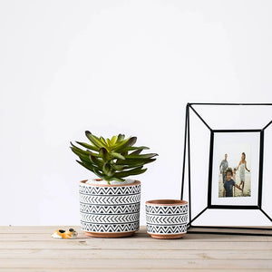 Modern Monochrome Plant Pots - Staunton and Henry