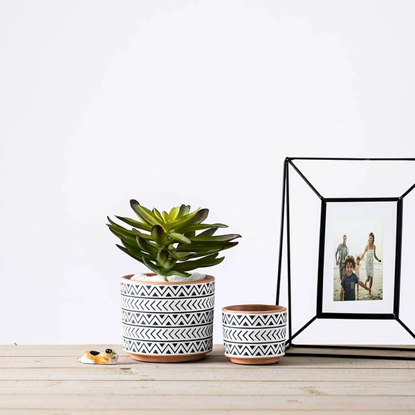Modern Monochrome Plant Pots - Staunton and Henry