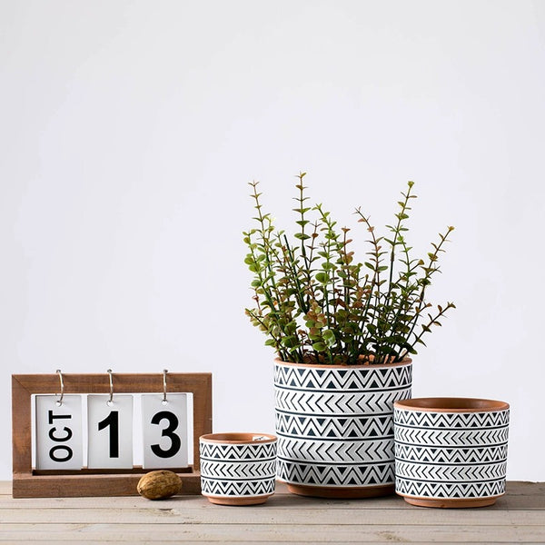 Modern Monochrome Plant Pots - Staunton and Henry