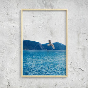 Transparent Ocean Wall Art With Frame - Staunton and Henry