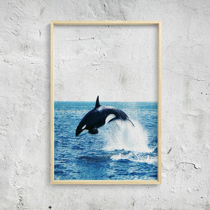 Transparent Ocean Wall Art With Frame - Staunton and Henry