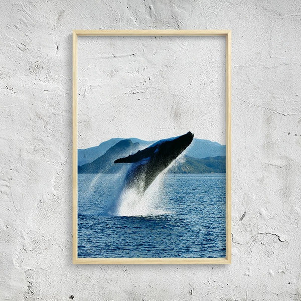 Transparent Ocean Wall Art With Frame - Staunton and Henry