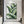 Load image into Gallery viewer, Modern Tropical Banana Leaf Wall Art - Staunton and Henry
