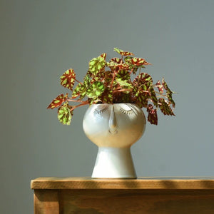 eclectic plant pots Buy Quirky Face Eclectic Plant Pot at 30% Off Retail – Staunton and Henry