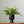 Monochrome Midcentury Modern Plant Pots - Staunton and Henry