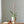 Monochrome Midcentury Modern Plant Pots - Staunton and Henry