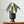 Monochrome Midcentury Modern Plant Pots - Staunton and Henry