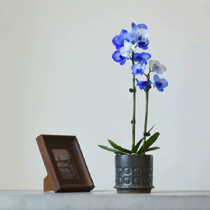 Nordic Style Textured Ceramic Plant Pot - Staunton and Henry