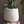 Textured Organic Modern Plant Pot - Staunton and Henry