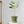 Nordic Glazed Ceramic Plant Pot - Staunton and Henry