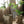 Rustic Organic Modern Plant Pot - Staunton and Henry