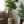 Rustic Organic Modern Plant Pot - Staunton and Henry