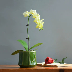 Bella Glazed Ceramic Plant Pots - Staunton and Henry