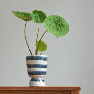 Bella Glazed Ceramic Plant Pots - Staunton and Henry