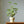 Modern Vintage Floral Ceramic Planter - Staunton and Henry