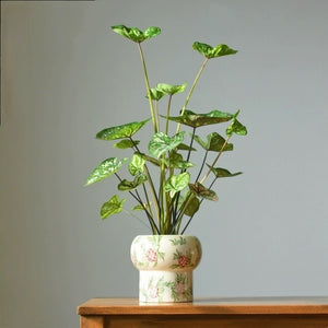 Modern Vintage Floral Ceramic Planter - Staunton and Henry