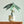 Organic Modern Ceramic Plant Pot - Staunton and Henry