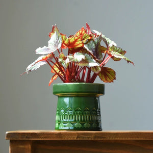 Green Nordic Ceramic Plant Pot - Staunton and Henry