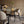 Millie Velvet Dining Chairs with Gold Legs (Set of 2) - Staunton and Henry