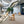 Replica Eames LCW Chair