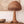 Rattan Table Lamp - Staunton and Henry