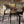 Millie Velvet Dining Chairs with Gold Legs (Set of 2) - Staunton and Henry