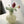 Whimsical Glass Pumpkin Vase - Staunton and Henry