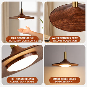 Orbit Mid Century Modern Walnut Pendant Light - Staunton and Henry