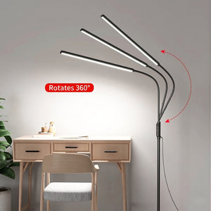 Linear Glow Modern Task Floor Lamp - Staunton and Henry