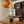 Runa Round Wood Veneer Hanging Light - Staunton and Henry
