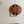 Runa Round Wood Veneer Hanging Light - Staunton and Henry