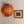 Runa Round Wood Veneer Hanging Light - Staunton and Henry